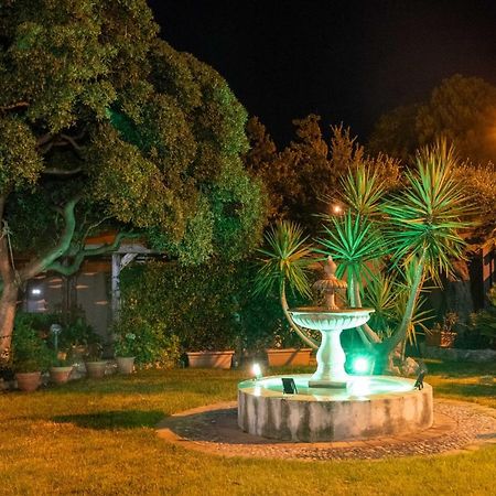 B&B Villagus Praia a Mare Exterior photo